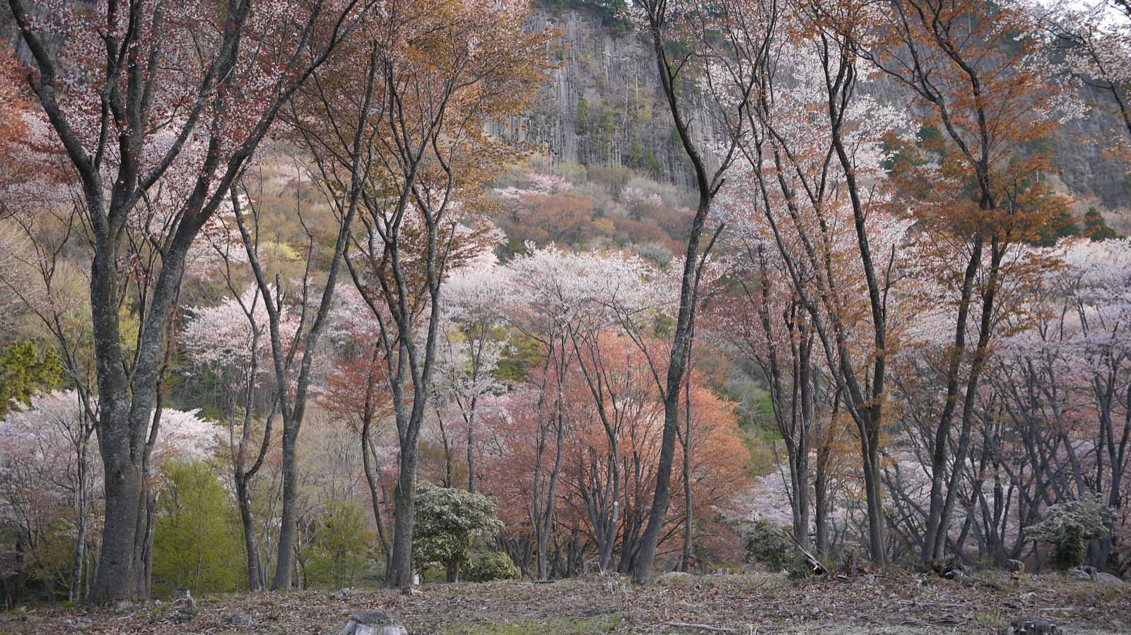 P1010143.JPG