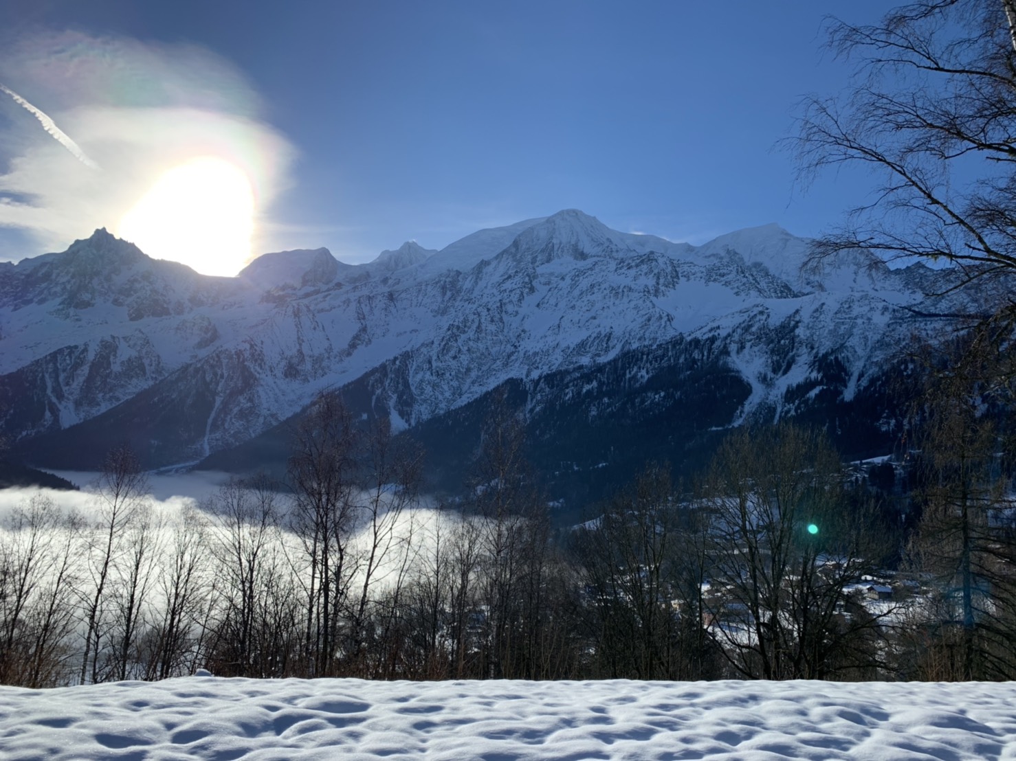 S__22872072.jpg