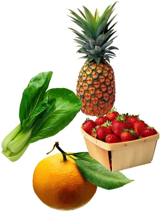 food.png