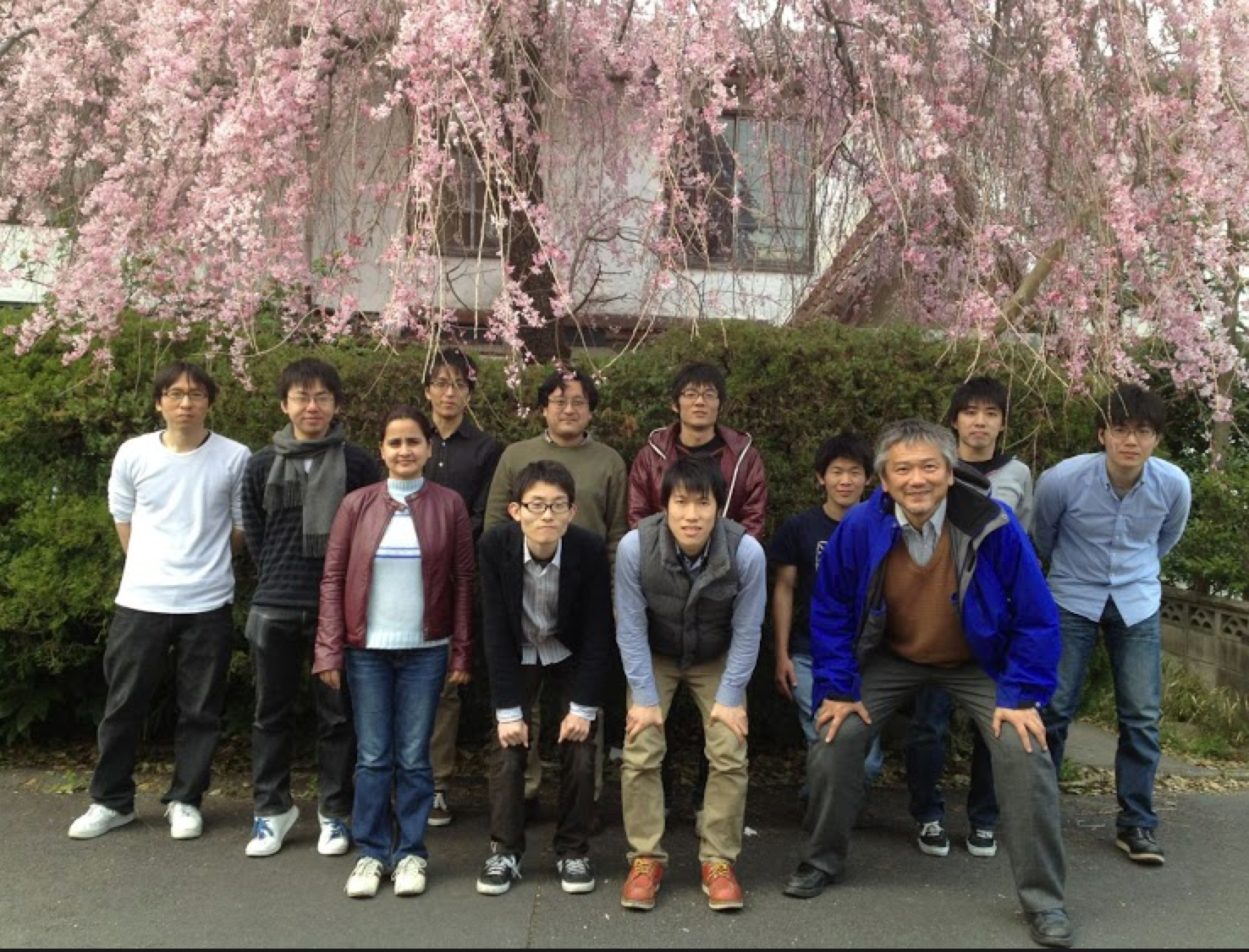 sakura2012.png